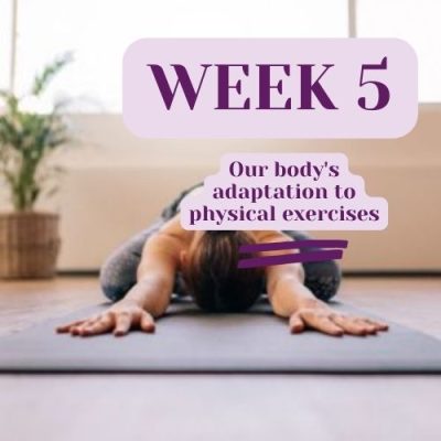 Week 5 : Our body’s adaptation to physical exercises