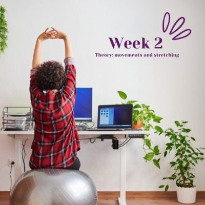 Week 2: Theory, Movements and Stretching